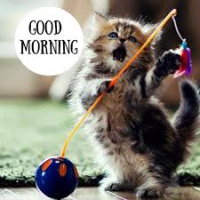 Check spelling or type a new query. A Lovely Good Morning Images A Blessed Good Morning Images Good Morning