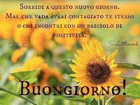 Buongiorno Bellissime Cartoline Di Girasoli Con Frasi Del Buongiorno Buongiorno Buongiorno Bellissimo Girasoli
