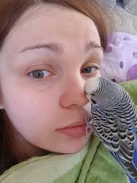 Every tribe's masquerade is also mere human. If you are chased by any, grab  a stick or a stone & hit him.