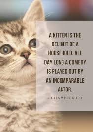 Maybe you would like to learn more about one of these? 44 Best Cat Quotes Dedicated To Our Adorable Purr Babies