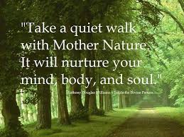 Take a quiet walk with Mother Nature. It will nurture your mind ...
