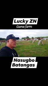 Lucky ZN Game farm , Nasugbo Batangas #gamefowlbreeder #gamefowlnation  #TeamPausbong #gamefarm #zypolynet