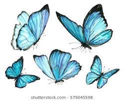 butterfly images stock photos vectors shutterstock 蝶々 イラスト 昆虫 イラスト 昆虫アート