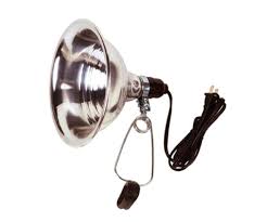 10 Easy Pieces Clip On Lights Remodelista