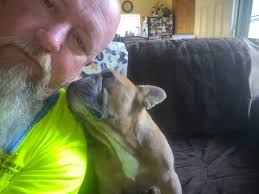 Just lost Bella today, these are the last pictures I have : r/Frenchbulldogs