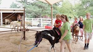 Some of the activities you can do are fishing, hiking, picnicking, catching up on some reading, and watching over your little ones as they have fun at the playground. Why Your Family Needs To Visit Blackberry Farm In Aurora Il Mommy Nearest