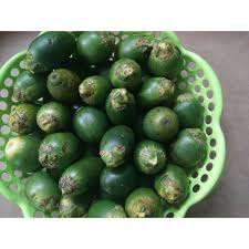 Hai guys kali ini saya nak share khasiat buah manjakani untuk wanita yang sudah berkahwin. Herbal Buah Pinang Manjakani Mahkota Dewa Kayu Rapet Daun Jaticina Shopee Indonesia