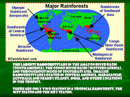 A tropical rain forest has more kinds of trees than any other area in the world. Rainforests Where Are Tropical Rainforests Tropical Rainforests Are Located In A Band Around The Equator Zero Degrees Latitude Mostly In The Area Ppt Video Online Download