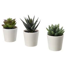 These incredibly lifelike faux plants require even less water than the real thing. Fejka Artificial Potted Plant With Pot In Outdoor Succulent Buy Online Or In Store Ikea