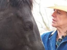 Fundraiser by Maddison Amason : Help 74 yr old Janice get an RV & out of a  shed!