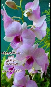 Pin On Tamil Bible Verse Wallpapers