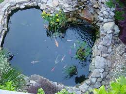 Air empang ikan lazimnya akan berisi ca2+ dan mg2+. Terungkap Ini Trik Cara Membuat Kolam Ikan Yang Nggak Sulit