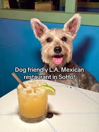 Lupes East La Kitchen New York