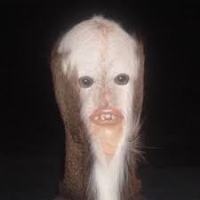 Hayden Ashley (@haydenAnickel)