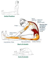 Pin On Fitness