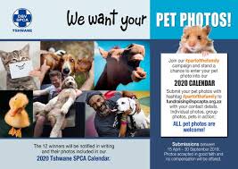 All acronyms (76) business & finance (1) government & military (4) medicine & science (2) Spca Tshwane Launches New Pet Calendar Campaign Pretoria