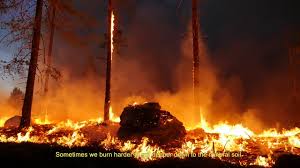 Erfarenheterna från 2014 gjorde att årets bränder i samma område kunde släckas då brändes ett område på 150 kvadratkilometer. Naturvardsbranning Vacker Nytt Liv I Skogen Life Taiga
