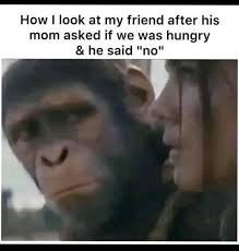 Kids at bedtime: "I'm hungry, thirsty, and suddenly have 27 urgent  questions about life."