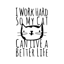 Svg Work So My Cat Cat Work Cat Tshirt Design Cat Shirt Cat Shirt Design Work
