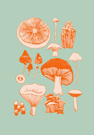 Mushroom Fungi Art Print Etsy Fungi Art Art Prints Mushroom Art