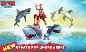 Default to the placement of the downloaded apks file. Sharkevolutiongames Sharkevolution5 Twitter