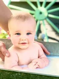 Hannah's still Photographs