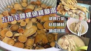 五指毛桃螺頭雞腳湯健脾行氣袪痰補肺肺虛咳嗽簡單做法 youtube food vegetables meat