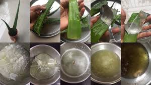 Proceed to cut the aloe vera into little pieces and then put them into a bowl. Erivum Puliyum Amla Hair Oil Aloe Vera Hair Oil Diy Homemade Hair Oils Step By Step Pics