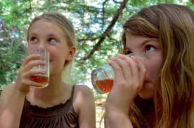 Get Juiced at Sebastopol's Community Apple Press