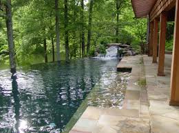 Appears To Be An Infinity Edge Pool With A Rock Waterfall Very Nice Ponds Backyard Backyard Pool Small Backyard Pools