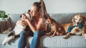 Explore other popular pets near you from over 7 million businesses with over 142 million reviews and opinions from yelpers. Professional Pet Sitters Week 7 Ways To Say Thanks To Your Amazing Dog Sitter Dogtime