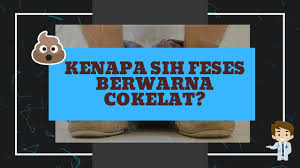 Check spelling or type a new query. Kenapa Sih Feses Berwarna Cokelat Youtube