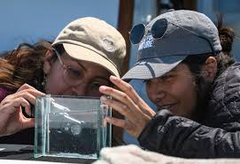 20 Scientists, 1 Boat, Countless Biodiversity