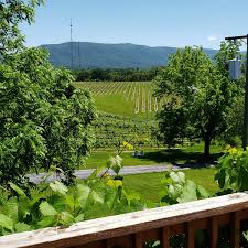 Image result for Vahadenia