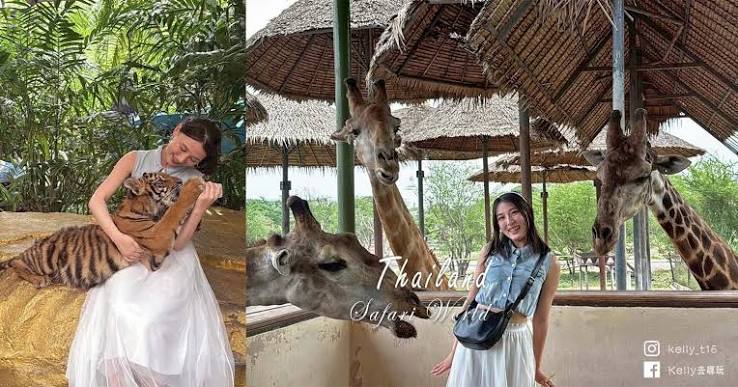 峇里島野生動物園動物表演