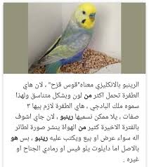 We did not find results for: La Planete Des Oiseaux Posts Facebook