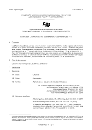 Image result for Aloe welwitschii