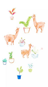Customize your desktop, mobile phone and tablet with our wide variety of cool and interesting cute wallpapers in just a few clicks! 40 Most Popular Cute Llama Wallpaper Iphone Lee Dii