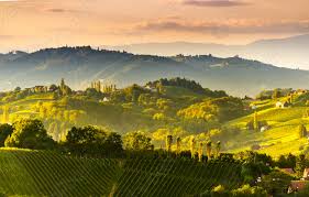 Consultez sur tripadvisor 134 877 avis de voyageurs et trouvez des conseils sur les endroits où sortir, manger et dormir à styrie, autriche. Paysage De Vignobles De Styrie Du Sud Pres De Stock Photo Crushpixel