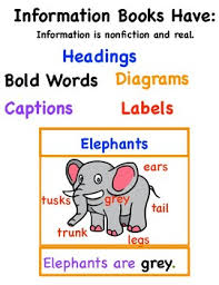 all about books anchor charts informational writing tc writing workshop