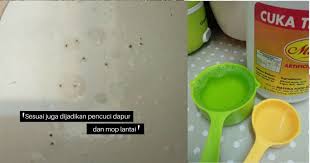 Maksud peribahasa ada gula, ada ler semut… di mana ada sumber rezeki atau mata pencarian, maka di situlah ramai orang akan berhimpun menagih peluang yang boleh didapati. Spray Homemade Serbaguna Boleh Musnahkan Semut Dan Lalat Impiana