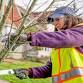 Tree Pruning Workshop, Homestead Park with Vancouver Urban Forestry — Lower Columbia Nature Network