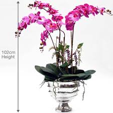 From there you have access to costco.com. Bamburgh Silk Orchid Light Purple Costco Uk