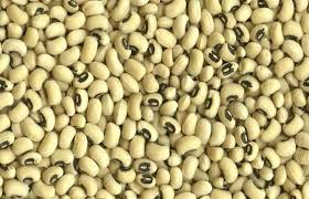 Maybe you would like to learn more about one of these? Are Black Eyed Peas Really Peas Library Of Congress