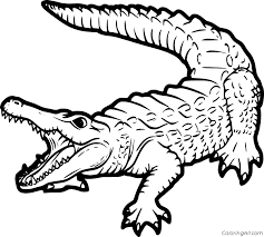 We did not find results for: Mugger Crocodile Coloring Page Coloringall