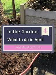 What To Plant Now April Garden Guide Plants Gardening Tips Organic Vegetable Garden