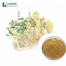 Herbal And Botanical Extract Yarrow Achillea Millefolium Extract Brown Fine Powder Form Healing Cold Fever Buy Achillea Millefolium Extract Yarrow Achillea Millefolium Millefolium Extract Product On Alibaba Com