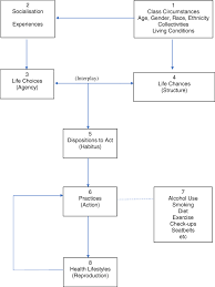 Special enrollment allows individuals who previously declined health coverage . How Are Health Related Behaviours Influenced By A Diagnosis Of Pre Diabetes A Meta Narrative Review Bmc Medicine Full Text