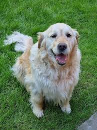 Today My Brithday No body wish me !🥴