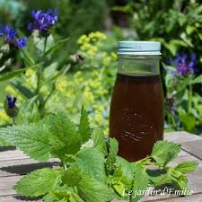 Sirop De Melisse En 2020 Sirop Melisse Citronnelle Sirop Maison